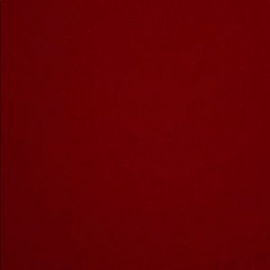 Meet your Posher, Carina